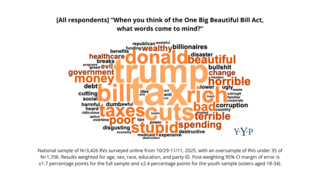 [All respondents] “When you think of the One Big Beautiful Bill Act, what words come to mind?”